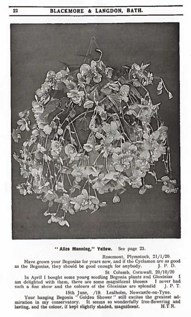 B. ‘Alice Manning’